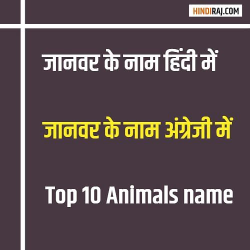 Animals Name in English & Hindi | जानवर के नाम हिंदी अंग्रेजी में [Photos]